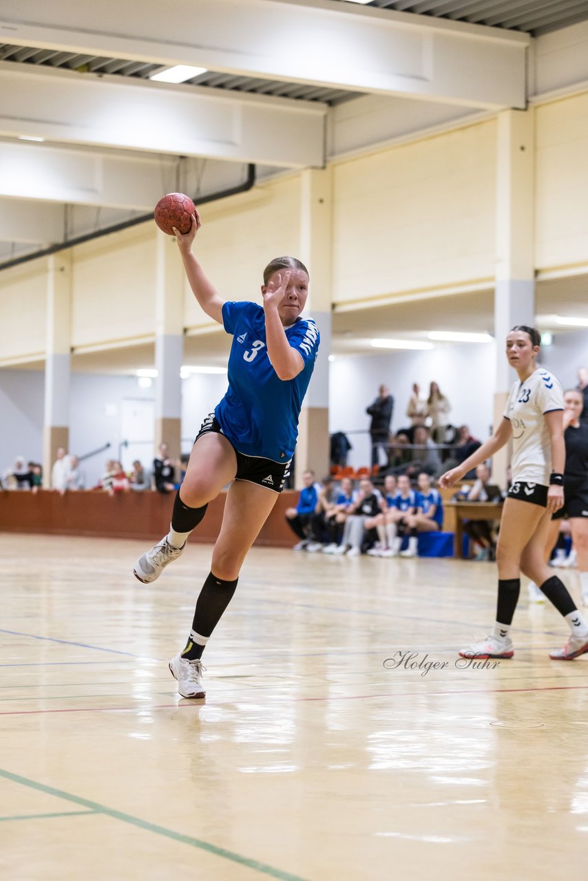 Bild 148 - wBJ TSV Ellerau - HSG Kalkberg : Ergebnis: 30:19